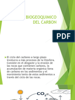 Ciclo Biogeoquimico Del Carbon