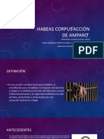 HABEAS CORPUS (Prof. Alfredo Loyola) 2023