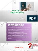 Identidade Profissional, Orgão de Classe e Identidade de Classe