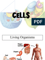 3.8 - Plant and Animal Cells