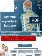 Sistema Reprodutor Humano