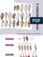 2-_HereditariedadeII