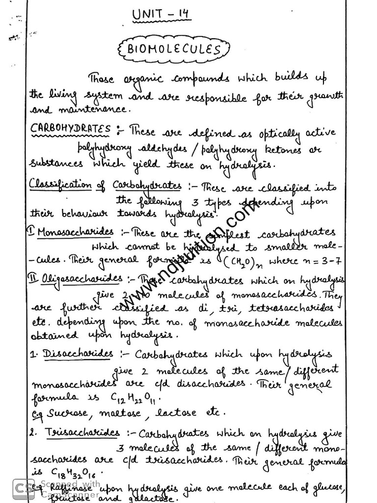biomolecules | PDF