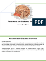 Sistema Nervoso Central