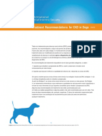 IRIS-DOG-Treatment Recommendations 2023