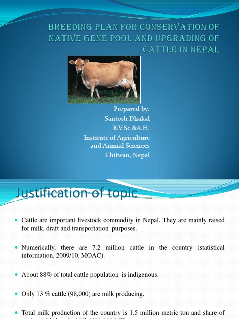 cattle breeding plan Plant Breeding Cattle