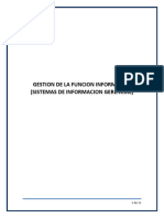 Gestion de La Funcion Informatica (Sistemas de Informacion Gerencial)