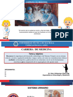 Semana 1.1 Sistema Renal