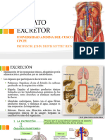 Aparato Excretor - 1PDF