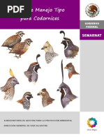 Download Pmt Codornices Fin by erikaek SN69279249 doc pdf