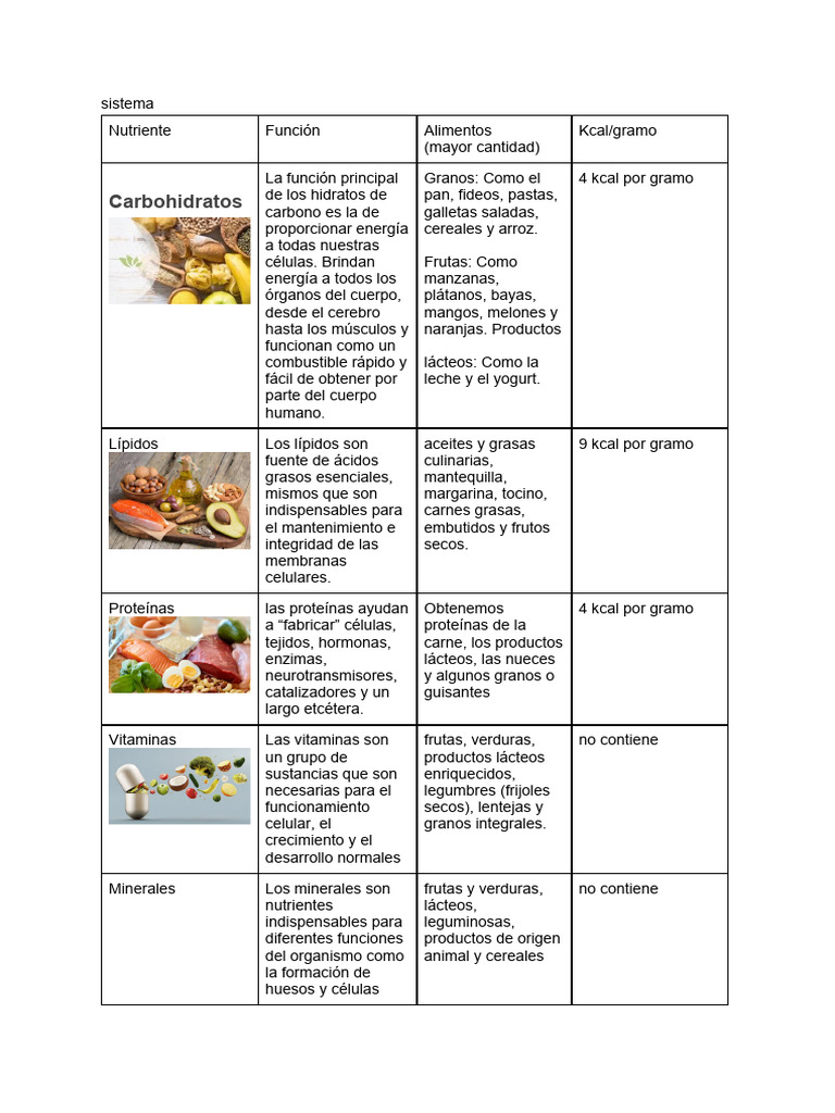 Nutrientes y funciones de los cereales | PDF | Cereales | Nutrientes