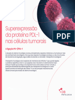 DB Patol Superexpressao Da Proteina pdl1 Nas Celulas Tumorais Com Logo 1