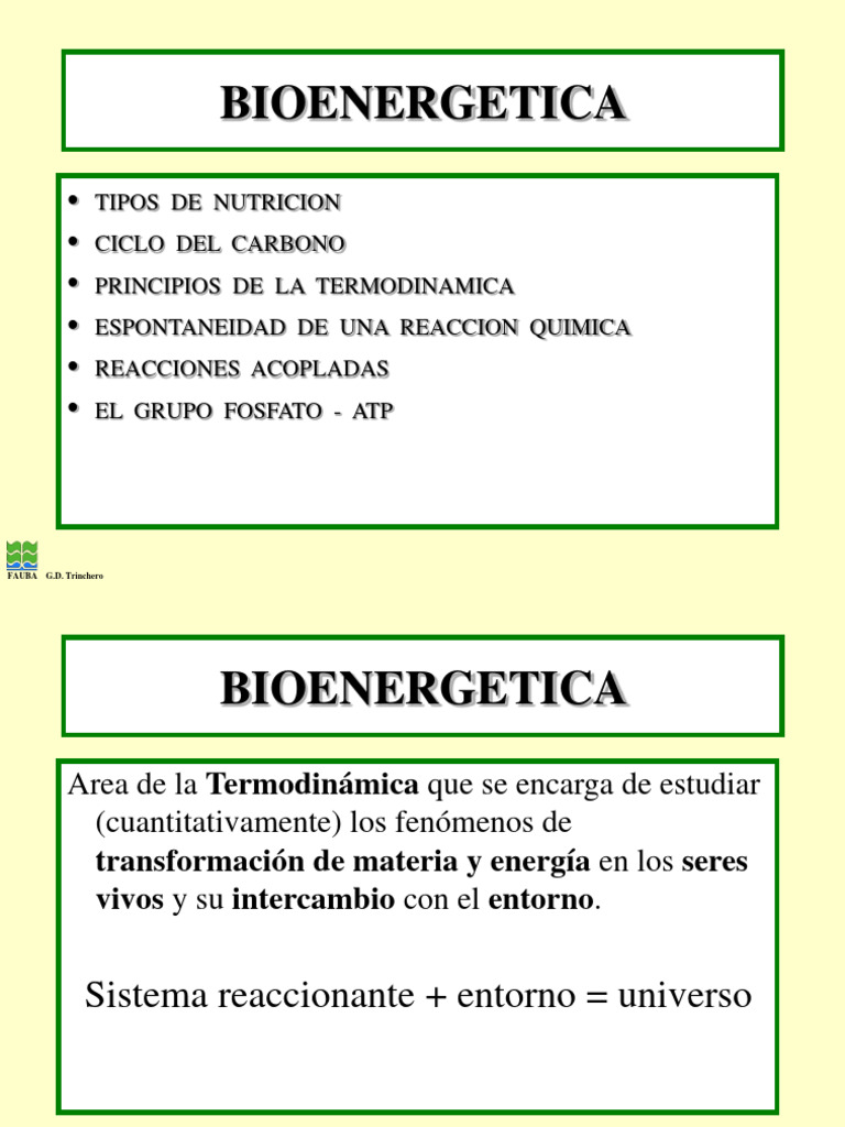 Bioenergetica Enzimas | PDF | Calor | Termodinámica
