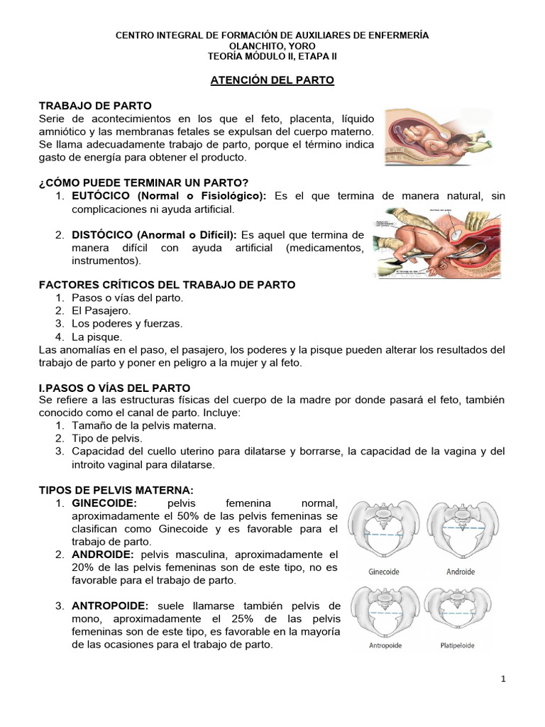 Atención Integral del Trabajo de Parto | PDF | Parto | Placenta