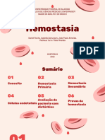 Hemostasia - Angio