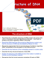 The Structure of DNA