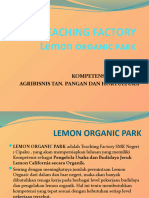 Tefa 'Agro Edu 'Organic Lemon Park'