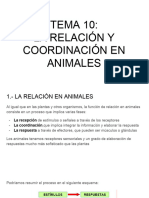 Tema 10 - La Relación y Coordinación en Animales