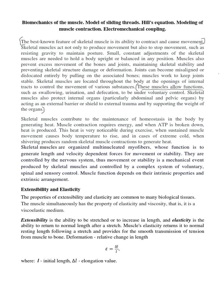 Muscle Contraction | PDF | Muscle Contraction | Skeletal Muscle