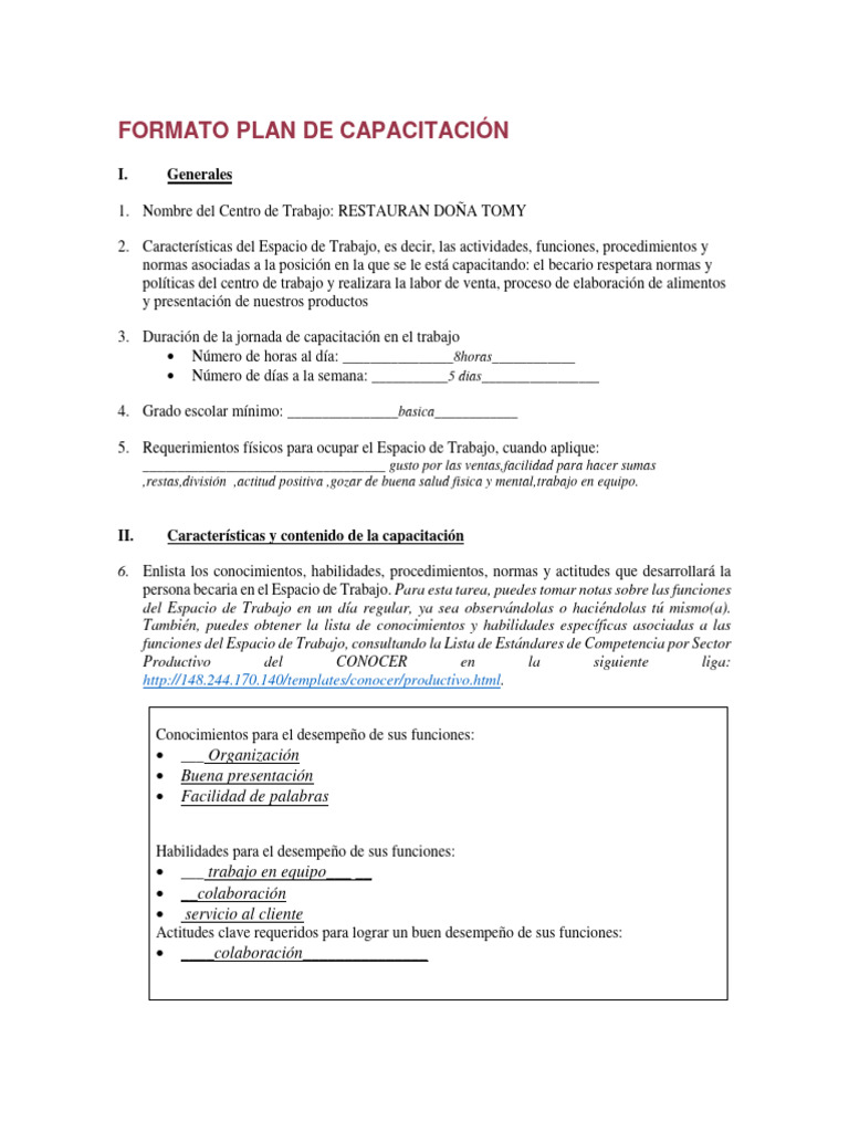 Plan de Capacitación para Jóvenes | PDF