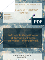 MICRODONCIA Caso 4 Genetica