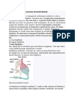 Sistemul Limfatic