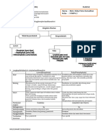 LKPD Plantae Firman