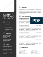 Professional CV Resume