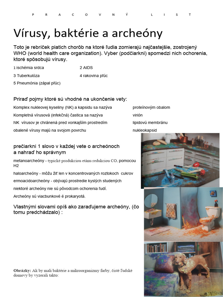 vírusy a archeony bakterie pracovný list | PDF