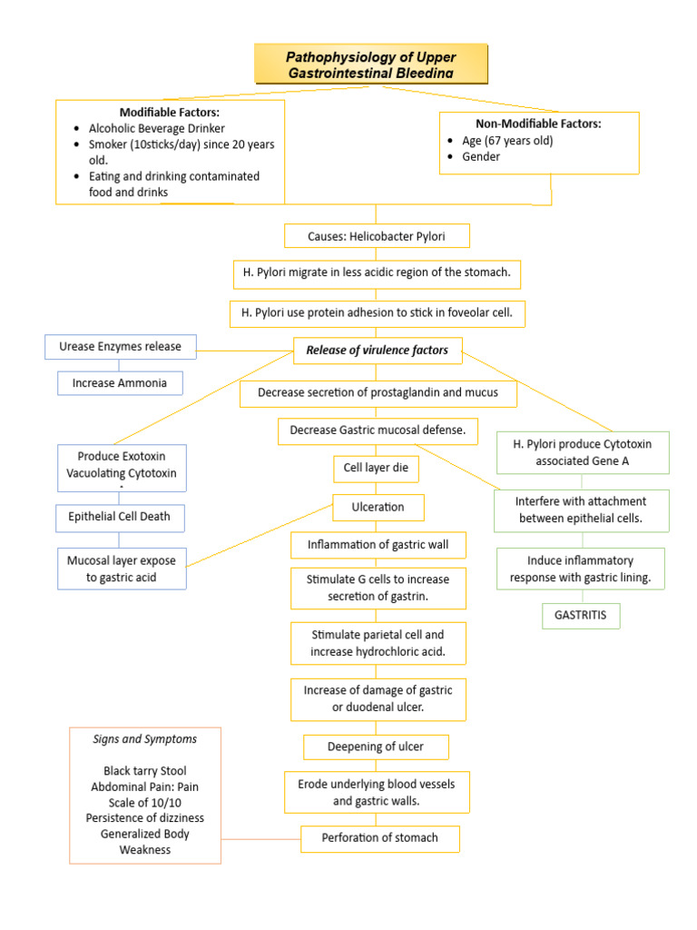 Pathophysiology of Upper Gastrointestinal Bleeding | PDF | Medical ...