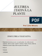 Reproducerea asexuată la plante