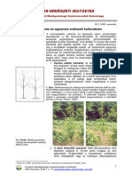 Koronaalakító Metszés És Ágnyesés Erdészeti Kultúrákban