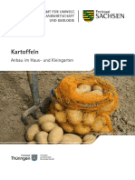 Kartoffeln Web