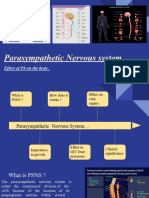 Parasympathetic Nervous System