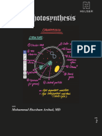 2 Photosynthesis