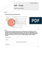 Klassenarbeit - Auge: 5. Klasse / Biologie