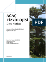 AĞAÇ FİZYOLOJİSİ. Ders Notları. Orman Mühendisliği Bölümü Öğrencileri Için