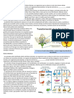 1º Año - Textos REINO PLANTAE y ANIMALIA