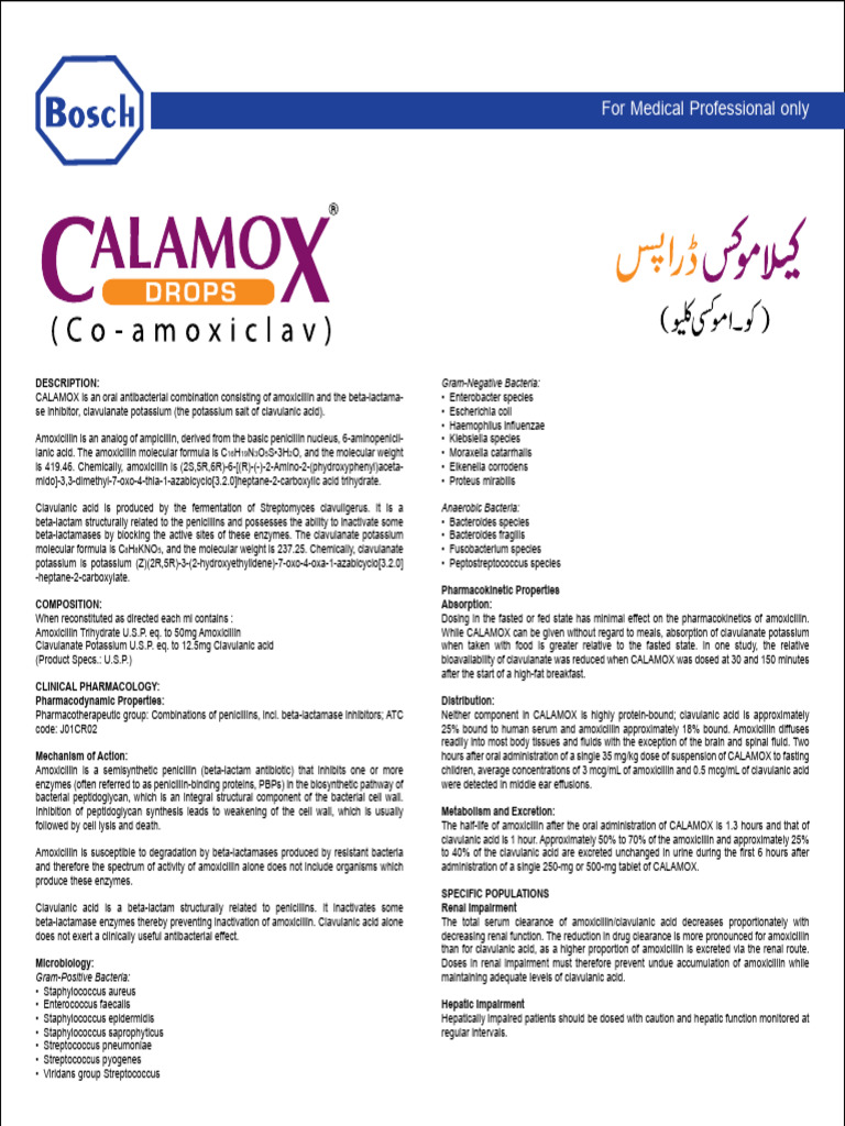 Calamox Drops | PDF | Penicillin | Beta Lactamase
