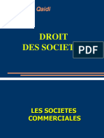 Droit Des Sociétés