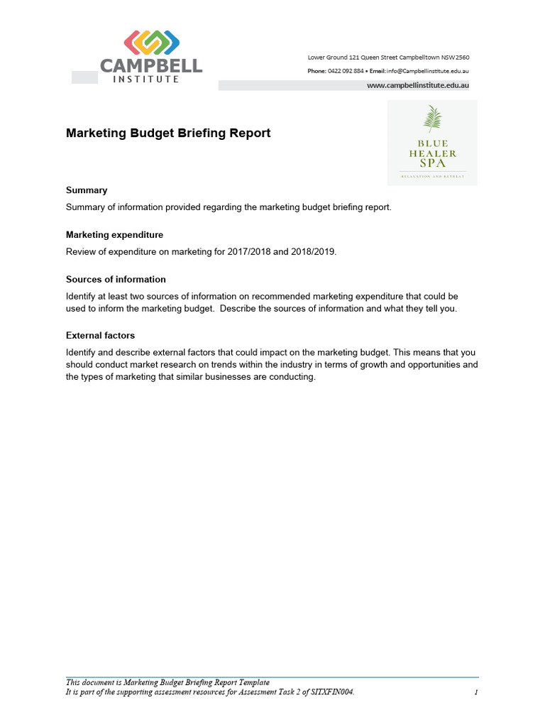 Marketing Budget Briefing Report | PDF | Business