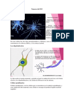 Apuntes Tumores Cerebrales