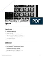 The Anatomy of Central Nervous System