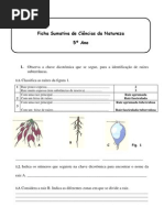 Ficha de trabalho Ciências 5ºano - Raízes e Caules