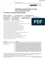 Vet Comparative Oncology - 2022 - Smedley - Diagnosis and Histopathologic Prognostication of Canine Melanocytic Neoplasms