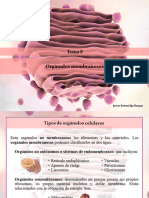 Tema 8 - Orgánulos Membranosos