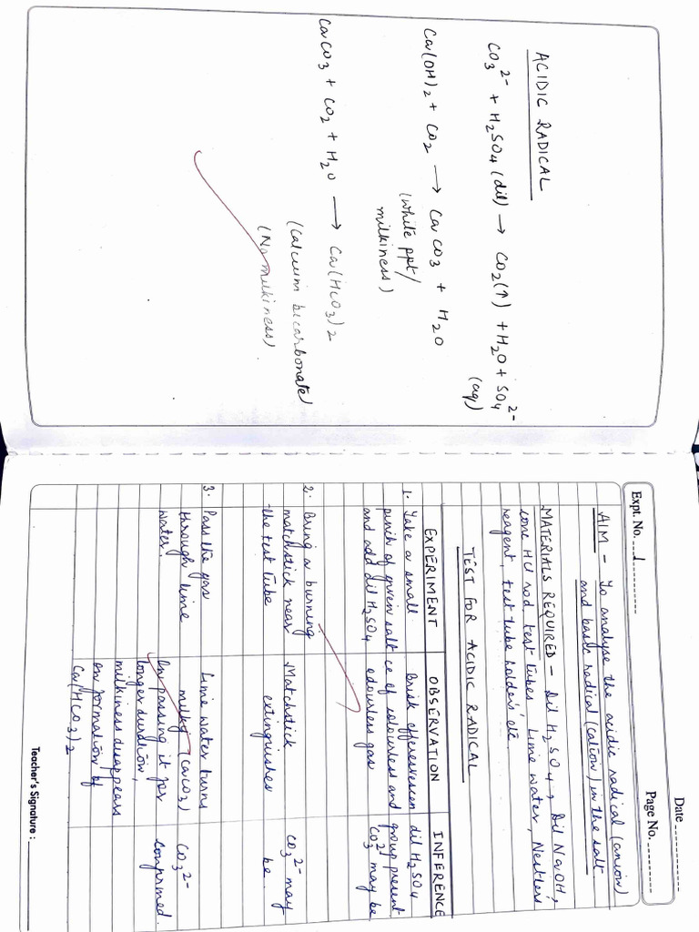 Salt Analysis Class Xii | PDF