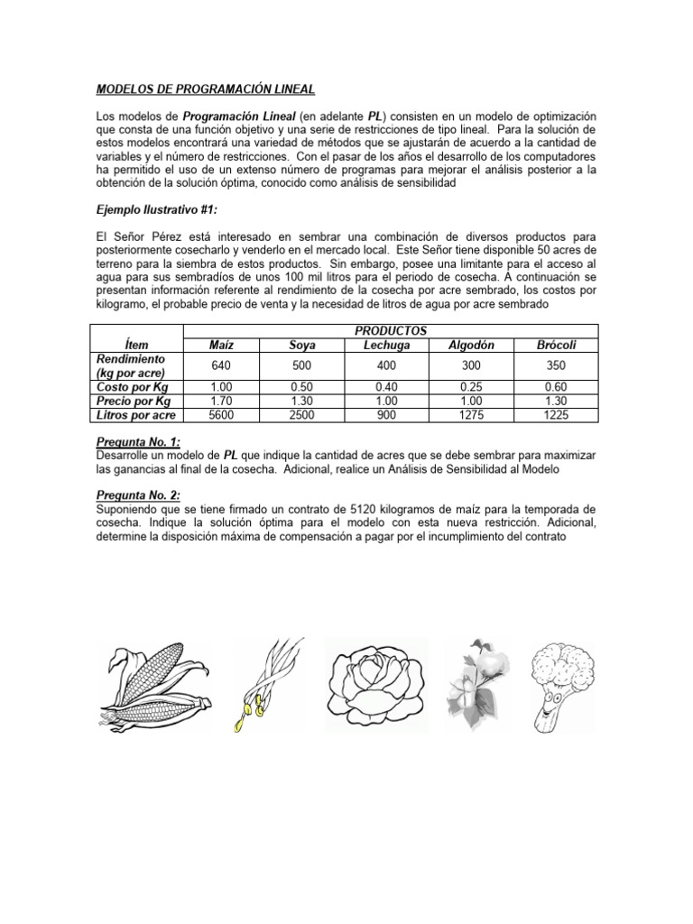 03modelos de PL Ilustrativos | PDF | Camión