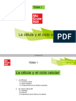 T1 - La Célula y El Ciclo Celular - 1