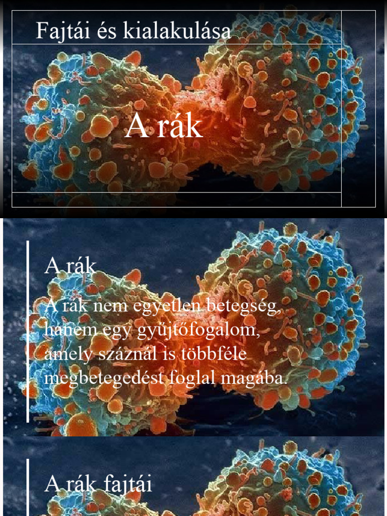 A Rák K.L | PDF